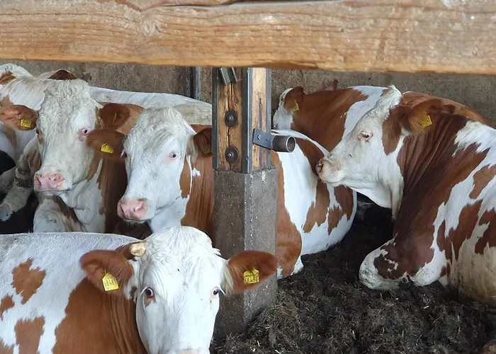Hofbauer Alojamento de Turismo Rural Seeon-Seebruck