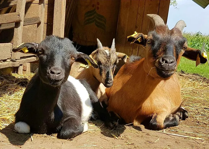 Çiftlik konaklama Hofbauer Seeon-Seebruck